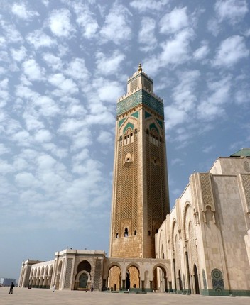 Picture11